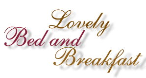 lodging with rooms in private guesthouses or hotels and B&B